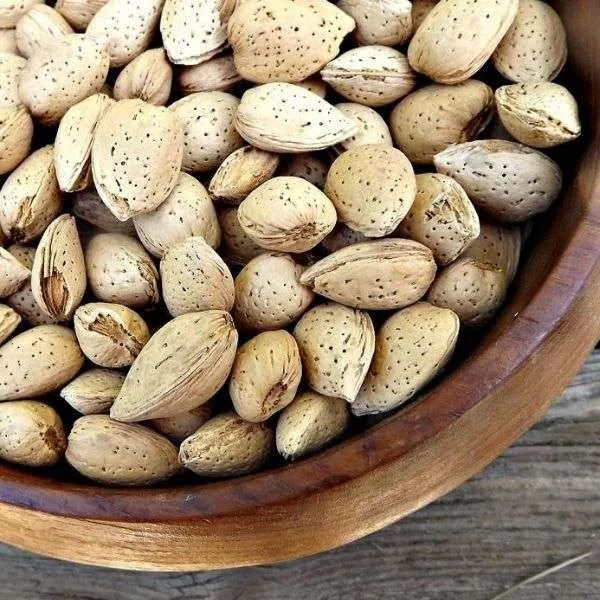 Kashmiri Almonds (Mamra Badam Giri)